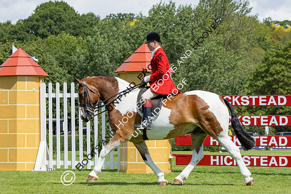 The Agria Royal International Horse Show