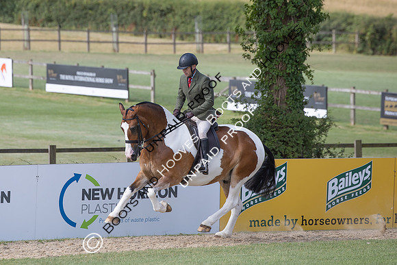 The Agria Royal International Horse Show
