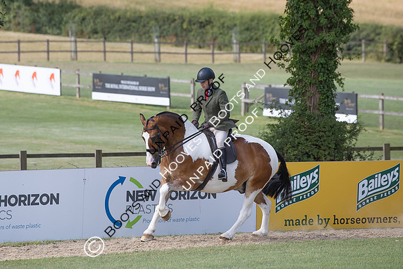 The Agria Royal International Horse Show
