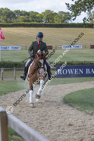 The Agria Royal International Horse Show