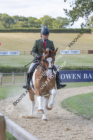The Agria Royal International Horse Show