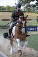 The Agria Royal International Horse Show