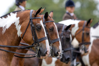 The Agria Royal International Horse Show