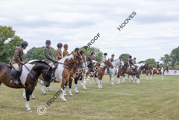 The Agria Royal International Horse Show