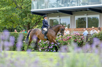 The Agria Royal International Horse Show