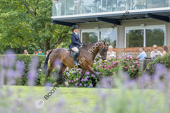 The Agria Royal International Horse Show