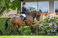 The Agria Royal International Horse Show