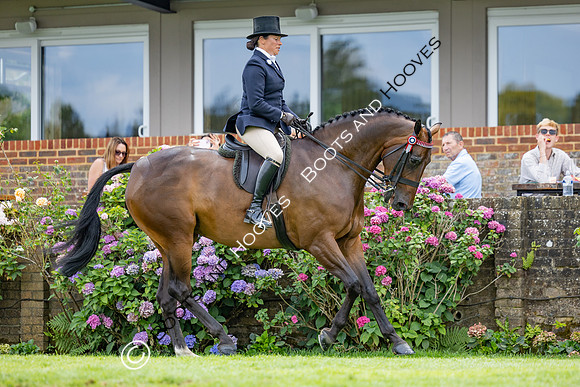 The Agria Royal International Horse Show