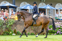 The Agria Royal International Horse Show