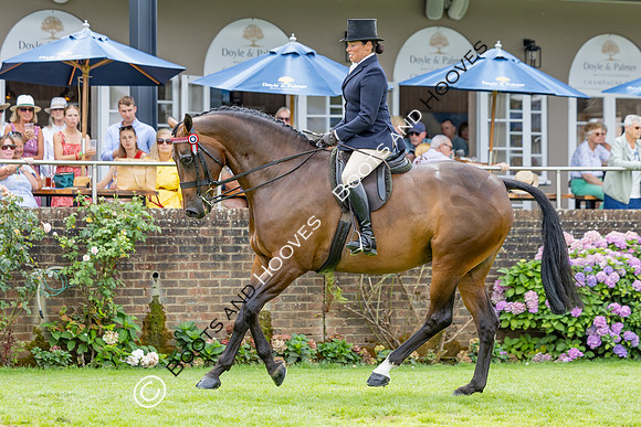 The Agria Royal International Horse Show