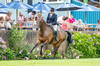 The Agria Royal International Horse Show