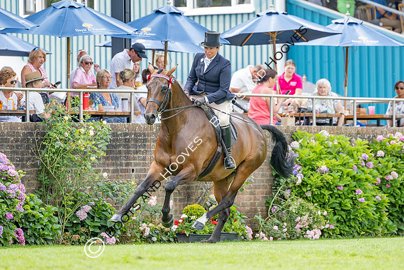 The Agria Royal International Horse Show