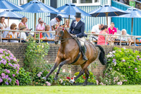 The Agria Royal International Horse Show