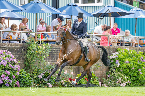The Agria Royal International Horse Show