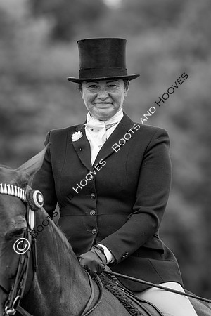 The Agria Royal International Horse Show