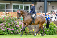 The Agria Royal International Horse Show