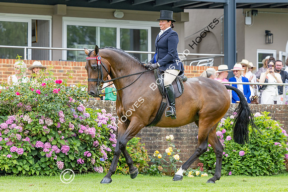 The Agria Royal International Horse Show