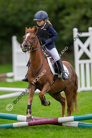 Science Supplements All England Jumping Championships