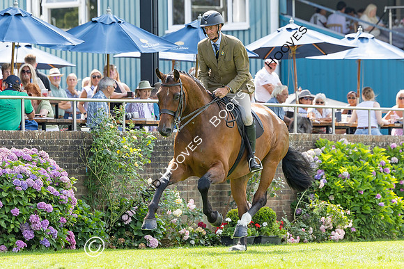 The Agria Royal International Horse Show