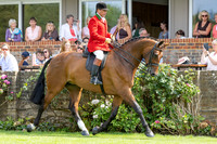 The Agria Royal International Horse Show