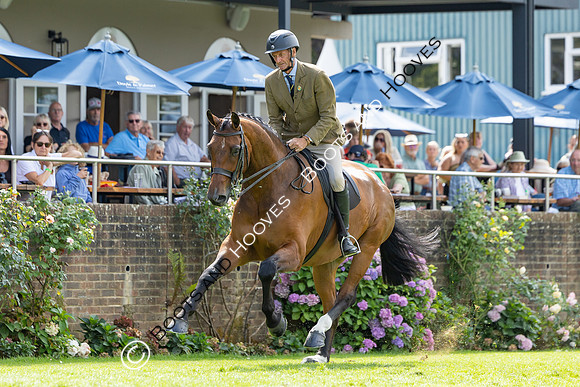 The Agria Royal International Horse Show