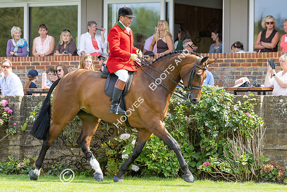 The Agria Royal International Horse Show