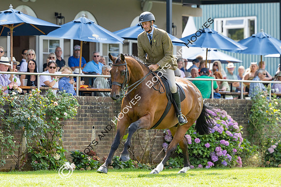 The Agria Royal International Horse Show