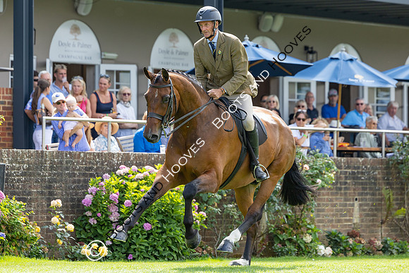 The Agria Royal International Horse Show