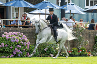 The Agria Royal International Horse Show