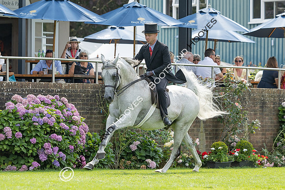 The Agria Royal International Horse Show