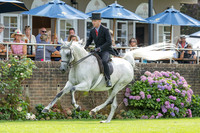 The Agria Royal International Horse Show