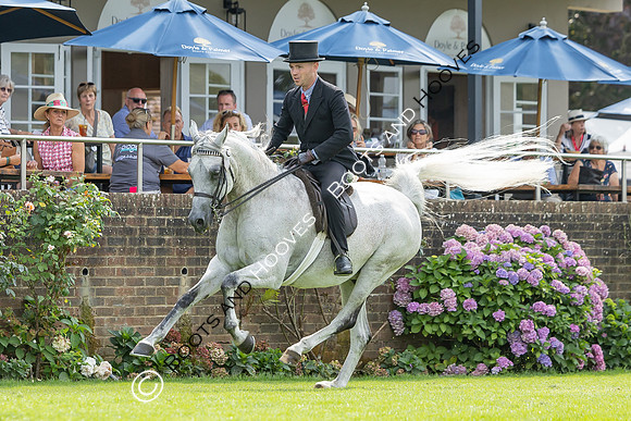 The Agria Royal International Horse Show