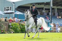 The Agria Royal International Horse Show