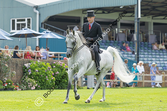 The Agria Royal International Horse Show