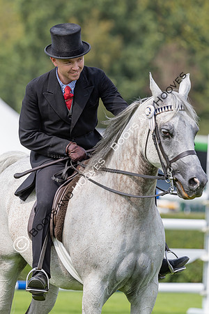 The Agria Royal International Horse Show