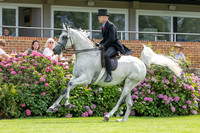The Agria Royal International Horse Show
