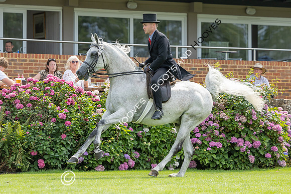 The Agria Royal International Horse Show
