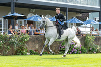 The Agria Royal International Horse Show
