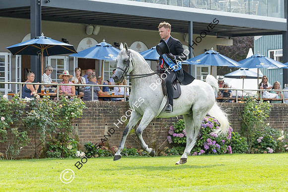 The Agria Royal International Horse Show
