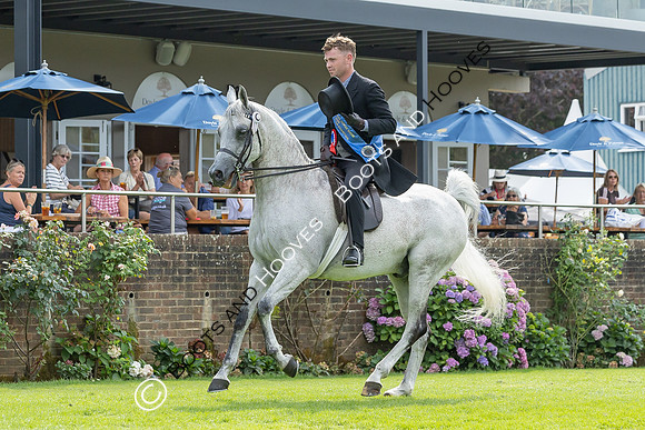 The Agria Royal International Horse Show