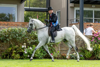 The Agria Royal International Horse Show