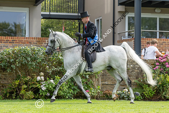 The Agria Royal International Horse Show