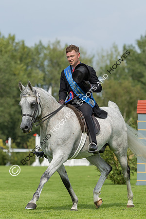 The Agria Royal International Horse Show