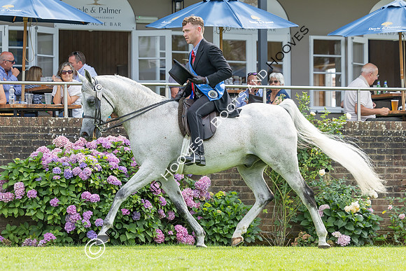 The Agria Royal International Horse Show