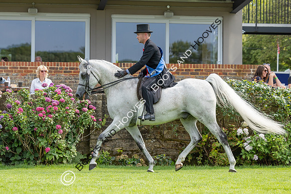 The Agria Royal International Horse Show