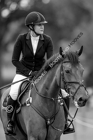 Science Supplements All England Jumping Championships