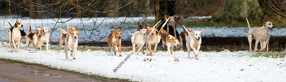 Hunting