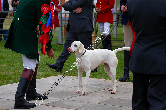 Festival of Hunting