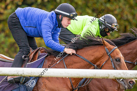 Newmarket