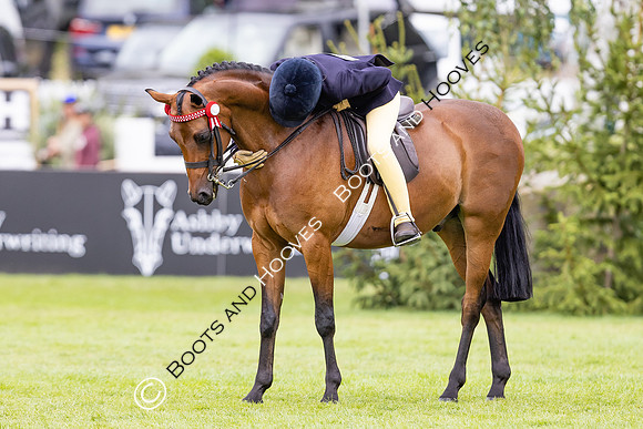 The Agria Royal International Horse Show